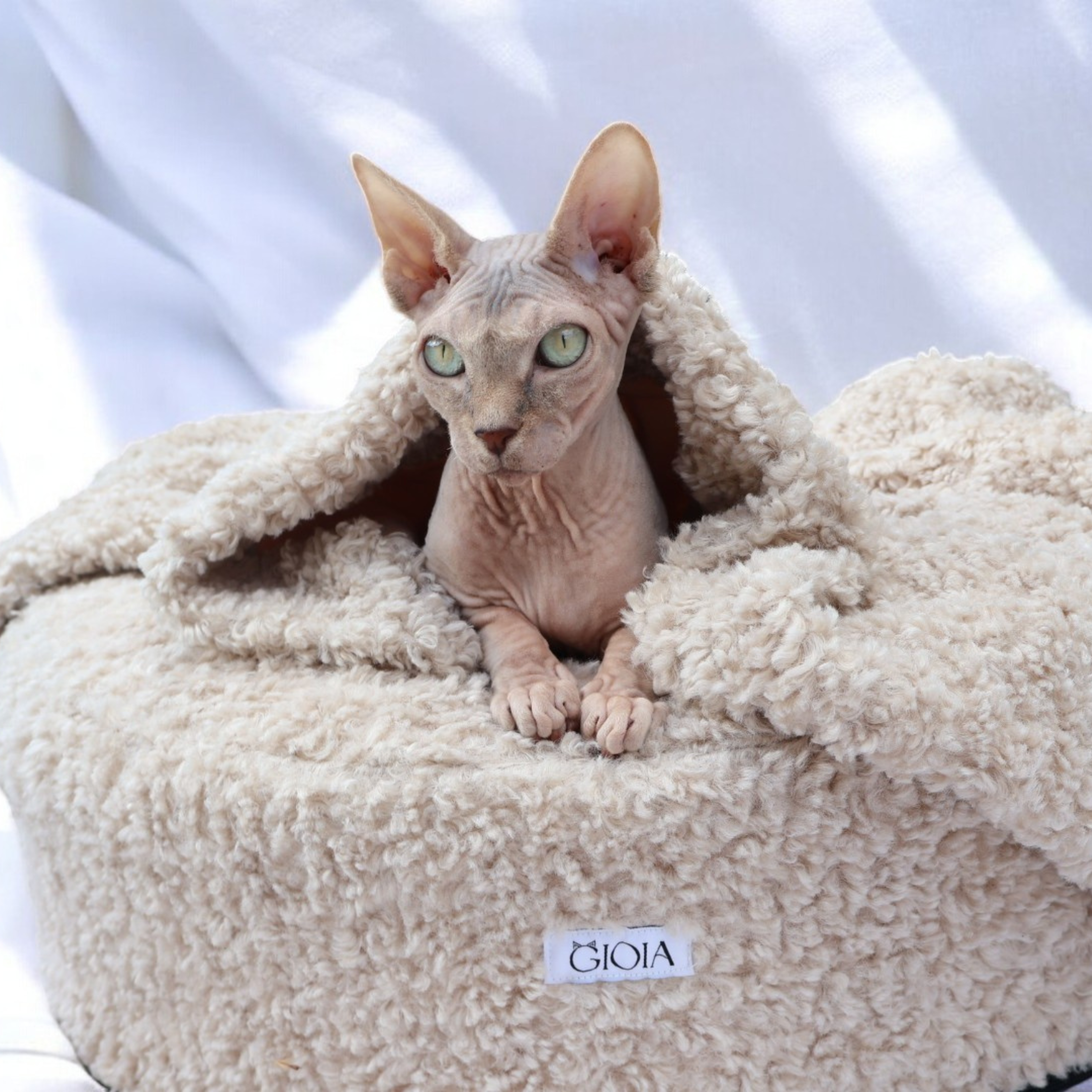Nap Nest and Matching Blanket - Biscuit Bliss