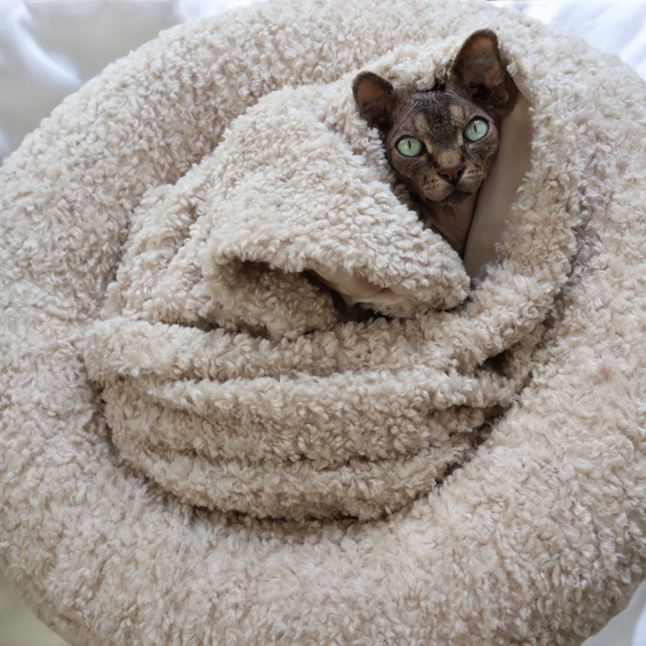 Nap Nest and Matching Blanket - Biscuit Bliss