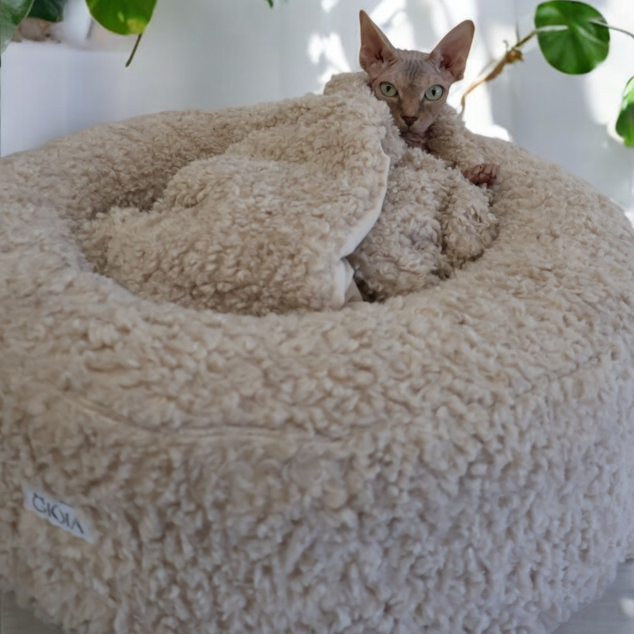 Nap Nest and Matching Blanket - Biscuit Bliss