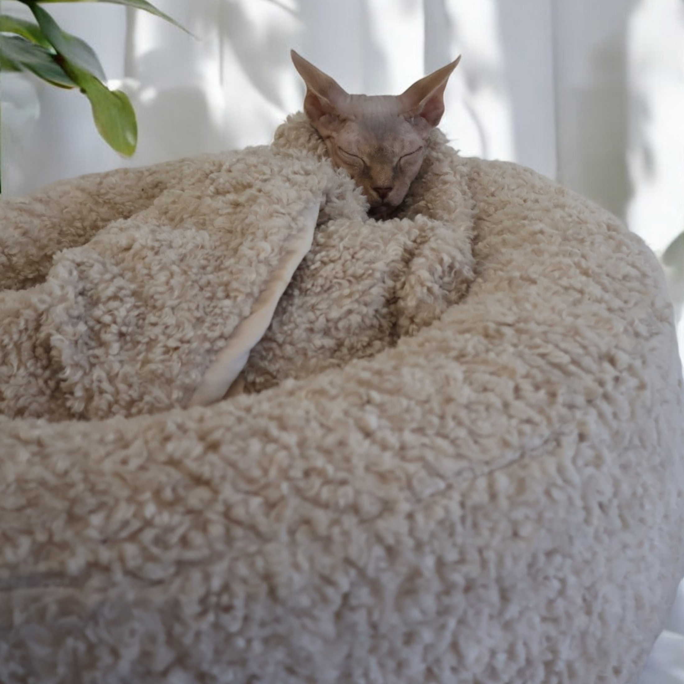 Nap Nest and Matching Blanket - Biscuit Bliss