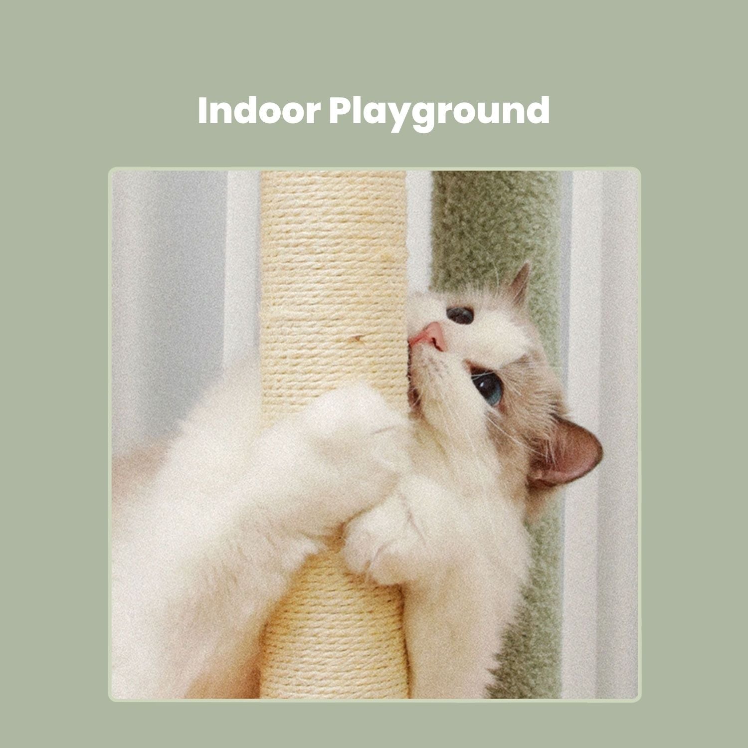 Floofi 143cm Dinosaur Cat Condo Cat Tree – Green