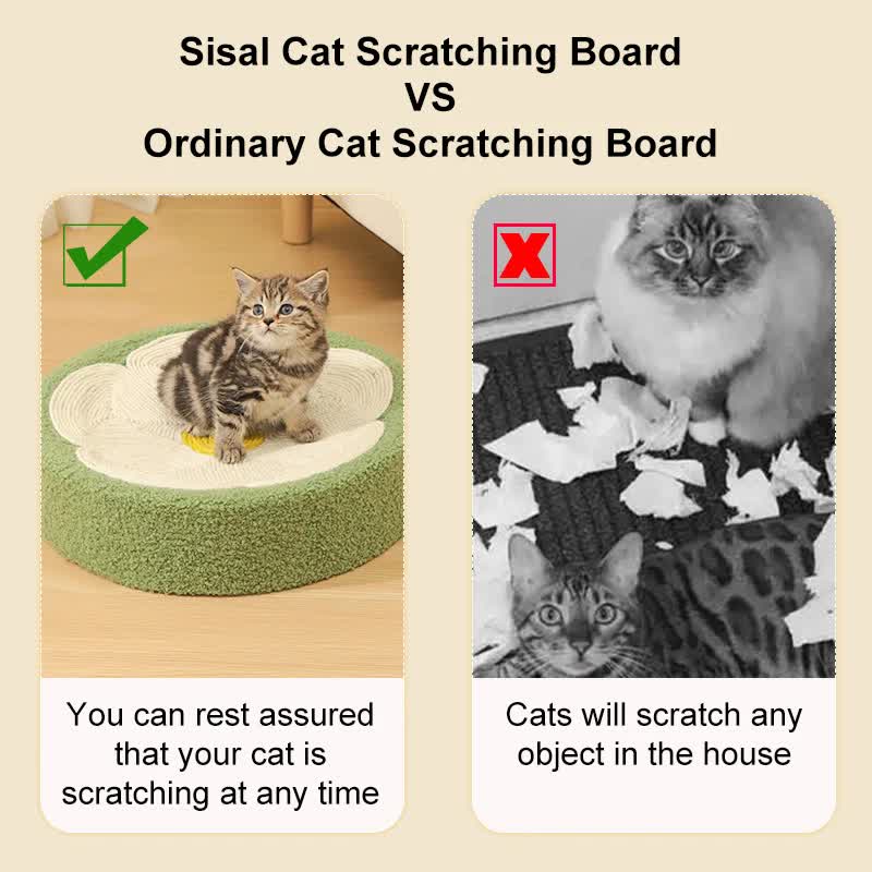 Pink Pig Cat Scratcher Bed