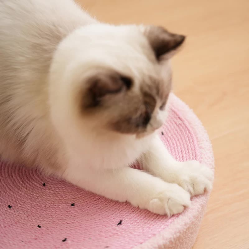 Strawberry Shaped Cat Scratcher Bed