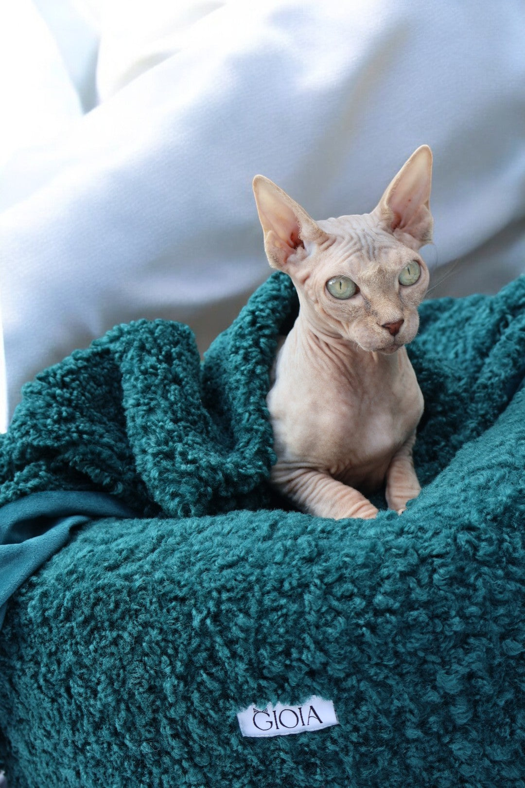 The Science Behind a Purr-fect Catnap: Why Your Cat Deserves Orthopedic Comfort
