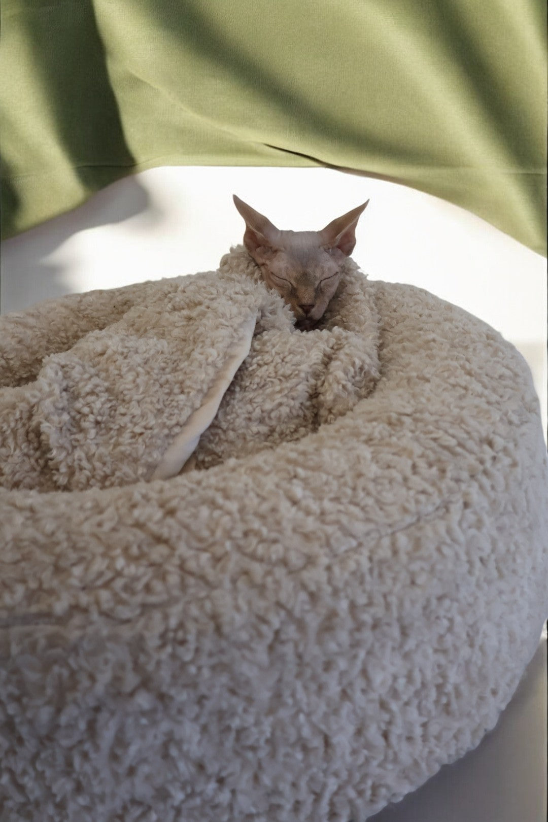 5 Signs Your Cat Needs a New Bed (And Why Comfort Matters)
