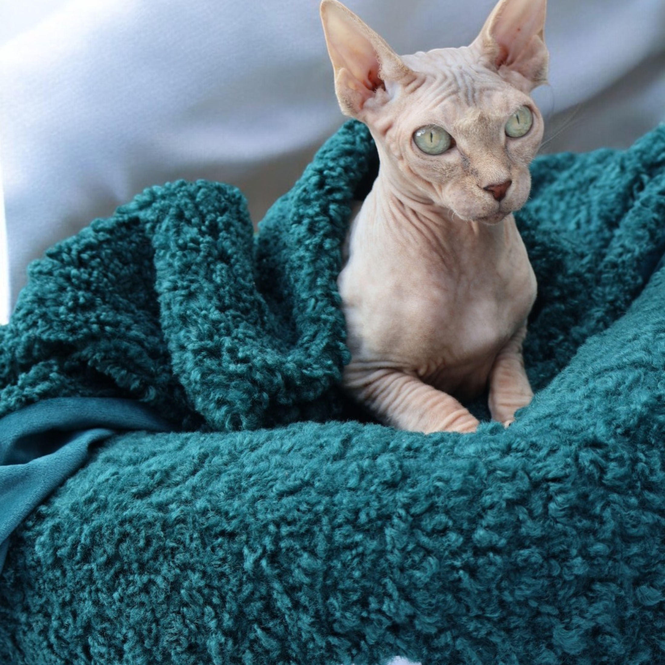 Nap Nest and Matching Blanket - Green with Envy