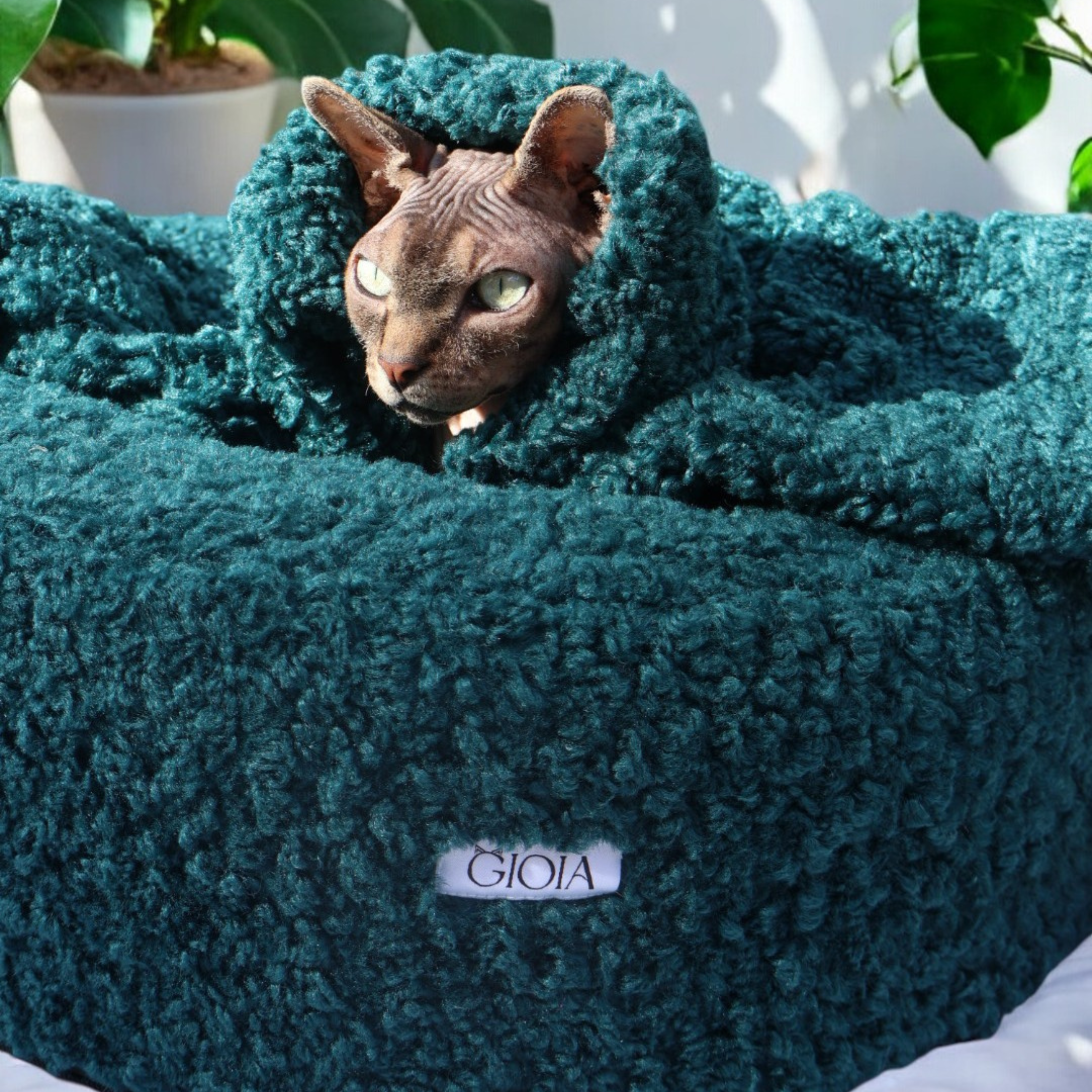 Nap Nest and Matching Blanket - Green with Envy