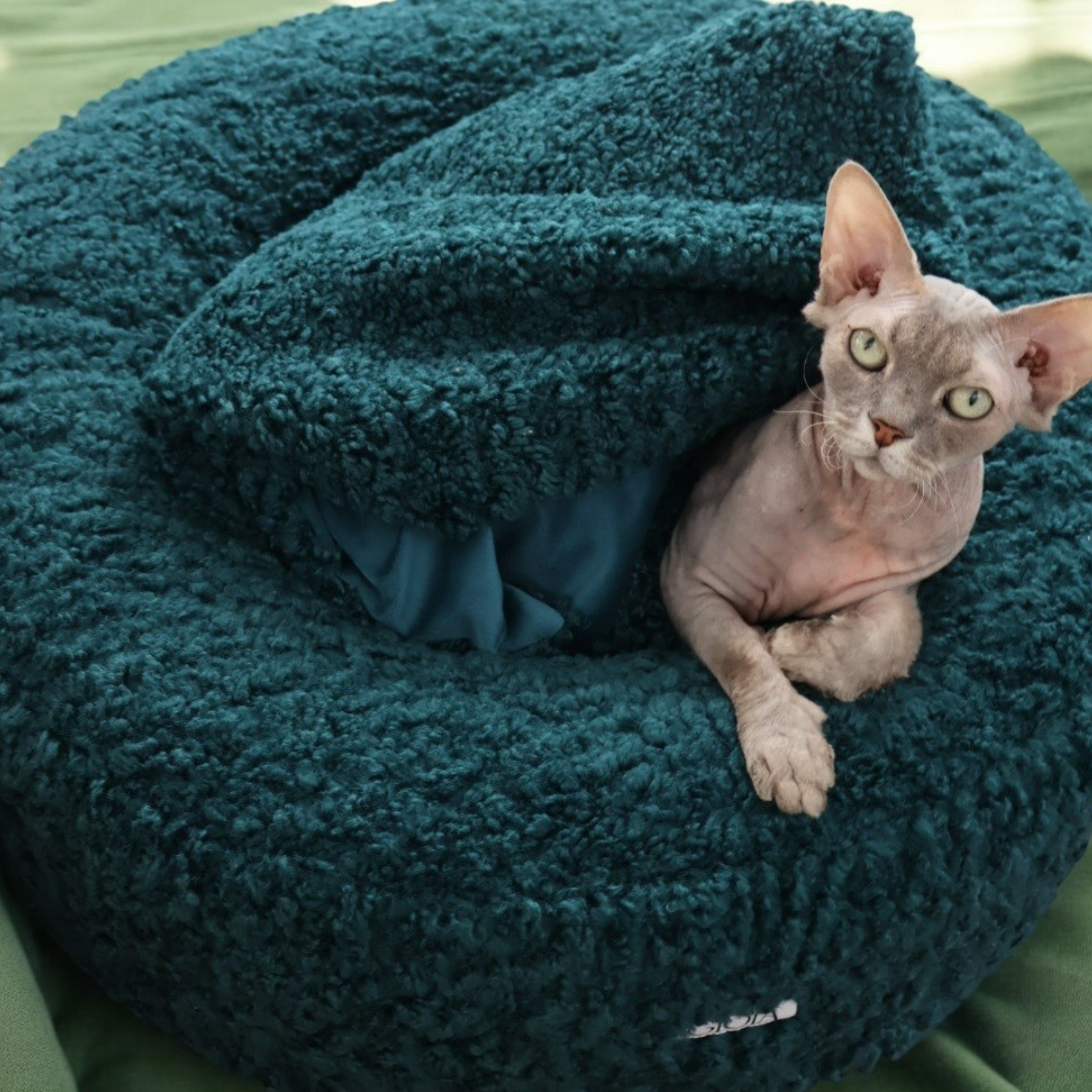 Nap Nest and Matching Blanket - Green with Envy
