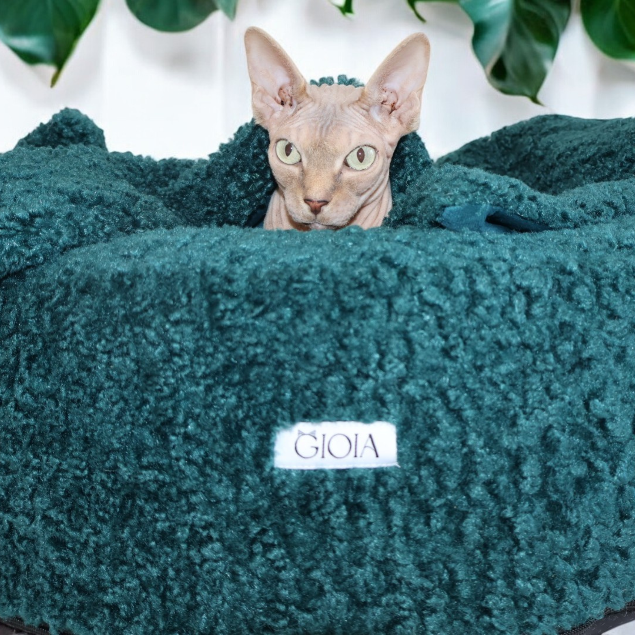 Nap Nest and Matching Blanket - Green with Envy