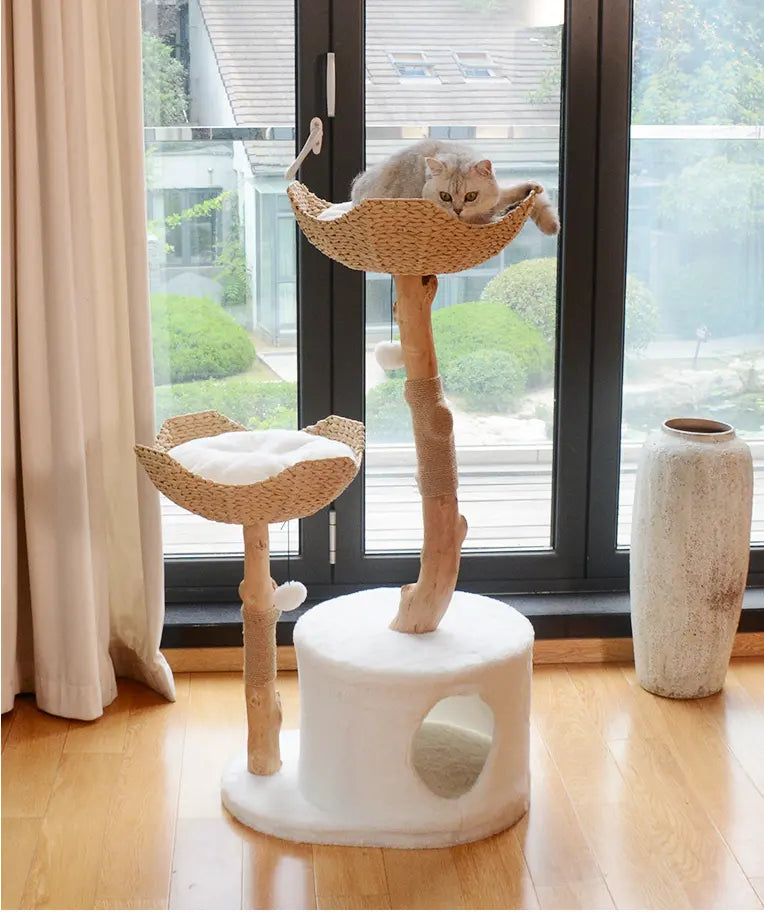 Mika Natural Solid Wood Cat Climbing Frame